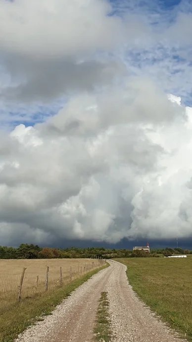 Straight Summer road