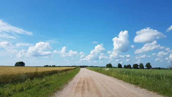 Article for content examples